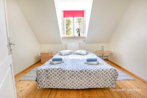 Rogosi-mois-Fotograaf-Aigar-Nagel-122