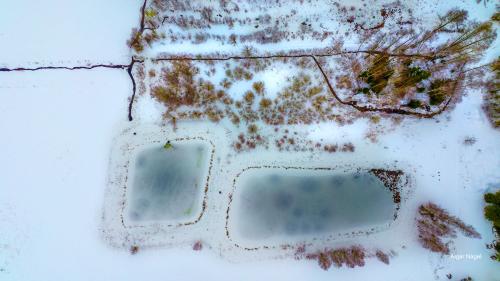 Droonifoto-Aigar-Nagel-voru