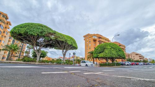 Tenerife-puhkus-kanaari-saared-Fotograaf-Aigar-Nagel-4