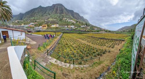 Tenerife-puhkus-kanaari-saared-Fotograaf-Aigar-Nagel-47