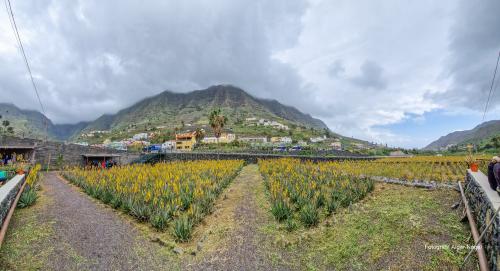 Tenerife-puhkus-kanaari-saared-Fotograaf-Aigar-Nagel-50