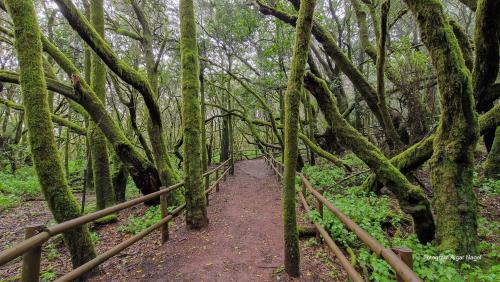 Tenerife-puhkus-kanaari-saared-Fotograaf-Aigar-Nagel-56