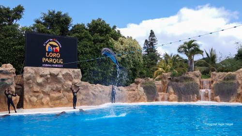 Tenerife-puhkus-kanaari-saared-Fotograaf-Aigar-Nagel-62